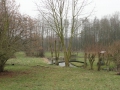 2011-02-23 Schoonrewoerd040